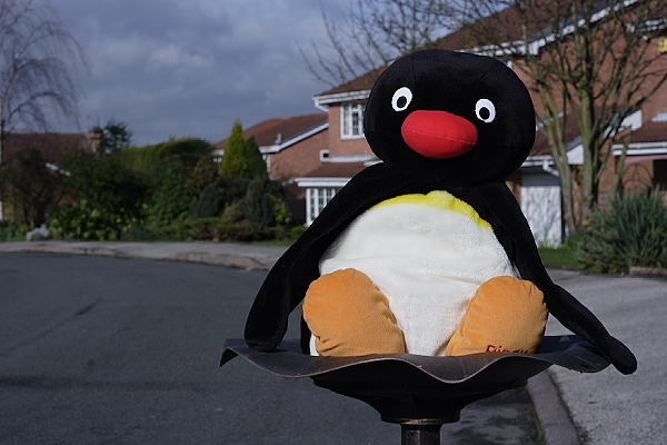 Pingu - 50mm