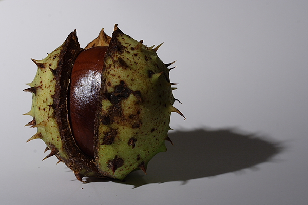 Conker - custom white balance